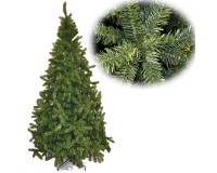 ALBERO DI NATALE PINO IMPERATORE VERDE FOLTO DISPONIBILE IN VARIE MISURE 